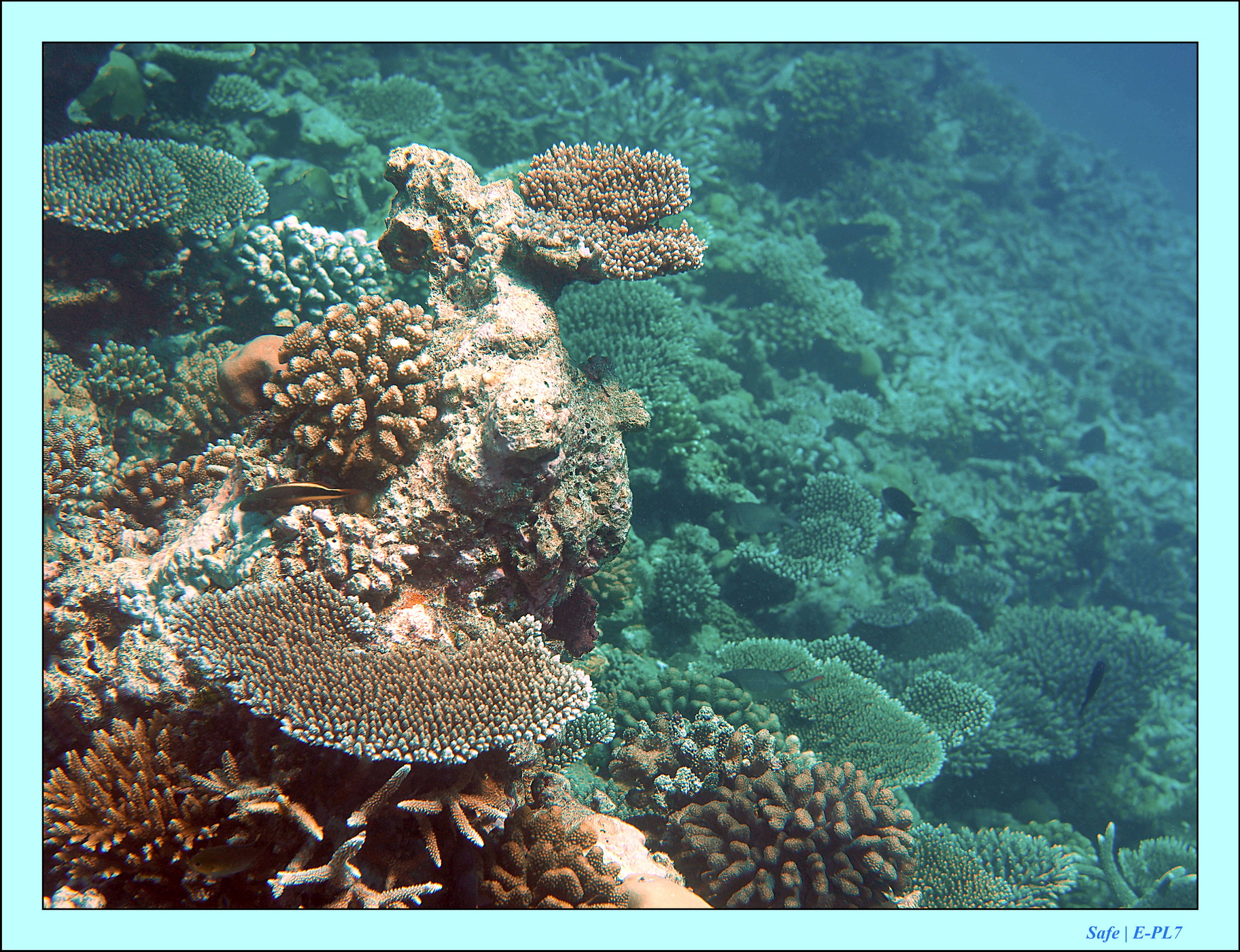 2023 - 07 - Sandies Bathala - 238